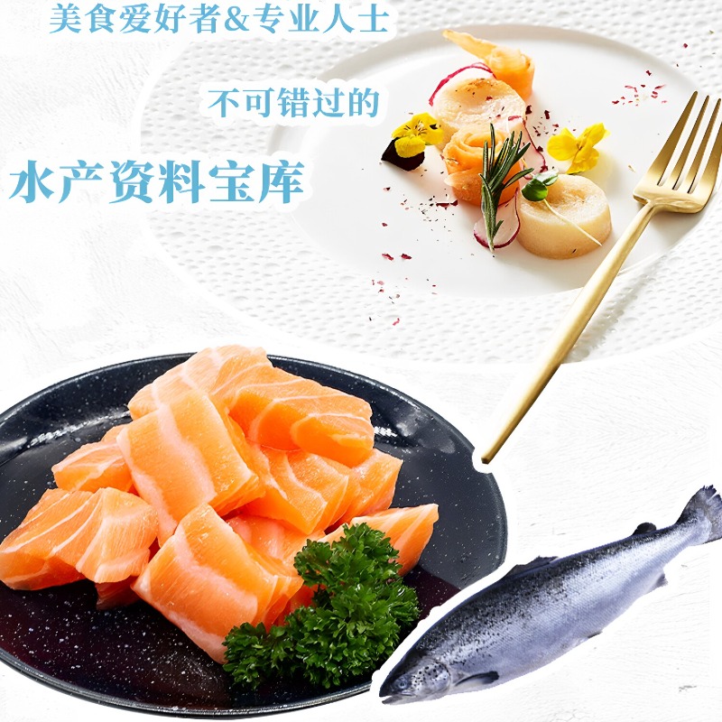 Libro de cocina de mariscos DK - Home Cooking Recipes reseña y precio